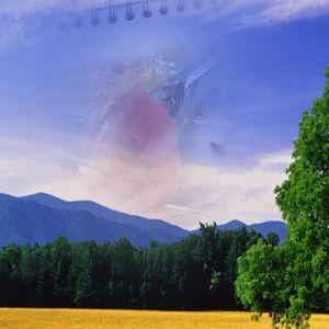 Meet your Posher, Alfredo